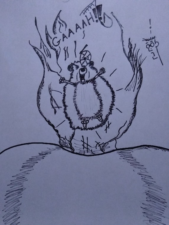 Buddy The Hedgehog Buddy The Hedgehog